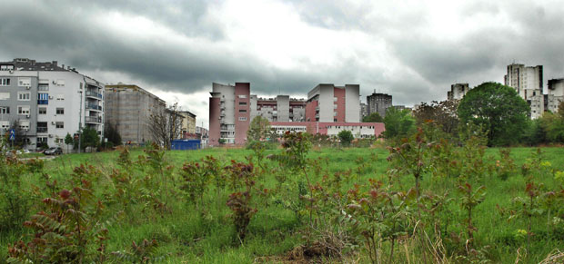 Легло змија усред насеља